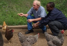 Ohio man brings ‘hope chicks’ to Kenya, Africa hope chicks
