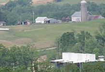 Downturn in market may trigger lease acquisitions