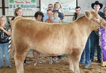 Portage County Fair sale results