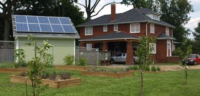 Youngstown urban farm