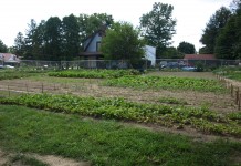 Pennsylvania invests $520,219 in urban ag grants Youngstown urban farm