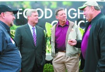 Research finds food that fights cancer in humans cancer fighting foods