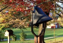 Why do leaves change colors before they fall?