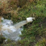 Expert revising Ohio’s phosphorus index to improve water quality