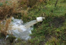 Expert revising Ohio’s phosphorus index to improve water quality