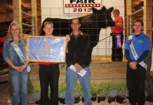 Ashtabula County steer disqualified after officials find drug in urine test