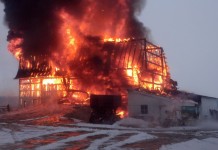 Fire destroys Wayne County barn, cattle and equipment