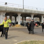 Ohio Beef Expo combines lots of cattle, exhibits and education