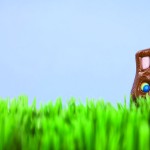 Easter spending: Peter Cottontail is on a budget chocolate bunny in grass