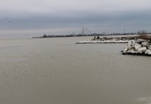 Breaking: Ohio Senate passes ag nutrients bill