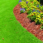 Your lawn can have a professional look with well-defined edges