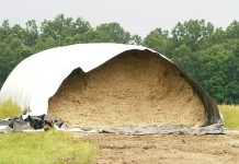 How often should you test forages? forage bag