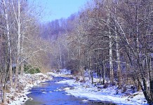 Streams stressed by pharmaceutical pollution photo of a winter stream