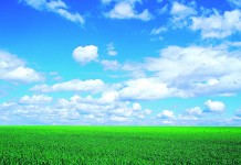 Ohio sustainable agriculture tour offers first-hand experience farmland and sky