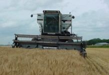 Kansas wheat farmer files lawsuit against Monsanto over GE wheat wheat combine
