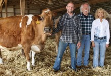 Ayars’ Dairy is ‘crazy-involved,’ but cows still No. 1