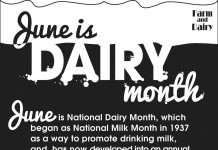 Infographic: June is National Dairy Month National dairy month infographic