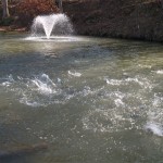 State of the industry: Aquaculture