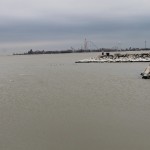 Dairy update: Nutrient management legislation coming to Ohio