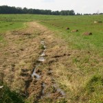 Let’s get serious about conservation