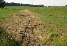 Let’s get serious about conservation