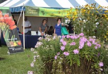 Help save the bees: Pollinator gardens focus of Ag Progress Days’ Yard and Garden area