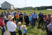 Holmes County: Sheep grazing tour showcases benefits of pasture management
