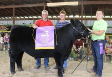 Trumbull County 2013 youth fair livestock auction results