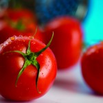 Domestic tomato or wild tomato? It’s in the genes