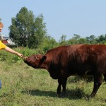 Marshall Allison: 4-H has helped put him on the road to success