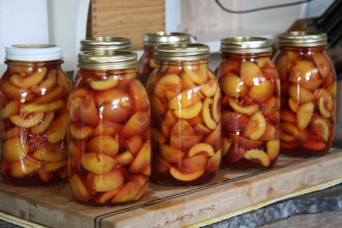 canned nectarines