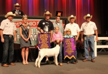 Ohio State Fair results 2013