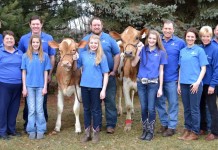 ‘Golden’ Guernsey family in western Pa. helps mark All-American Dairy Show golden anniversary