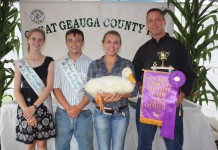 Hog brings $10,000 at Geauga County Fair market livestock sale
