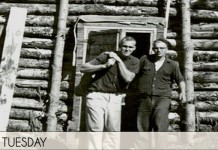 Building a root cellar how-to-root-cellar