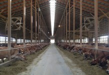 Survey gives a glimpse into northeastern Ohio’s dairy future