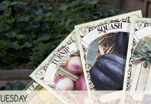 How long do vegetable seeds last?