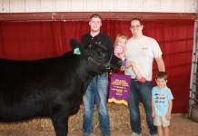 2013 Lawrence County Fair livestock auction results