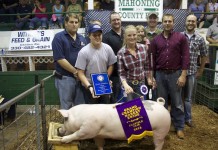 Canfield Fair Livestock Sale 2013