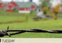 How do I repair a wire fence?