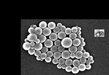 Ohio State scientist develops new vaccine for PRRS viral disease in pigs