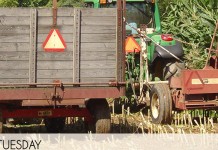 How do I prevent soil erosion and nutrient runoff?