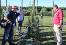 Ohio specialty crop — hops — could make a return