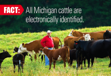 Michigan livestock haulers fined