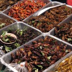 Farming cockroaches? Little bugs could become big business