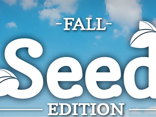 All about seeds: Our fall seed edition