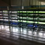 Vertical farm to establish operations in eastern Pennsylvania