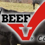 Final report notes ‘no reportable findings’ with checkoff management