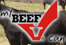Final report notes ‘no reportable findings’ with checkoff management