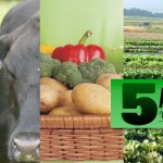 Five agri-stories you should read today (2/18)